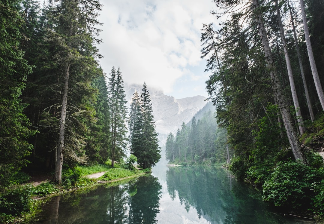 entdecken sie die ruhe und schönheit des sees – ein perfekter ort für erholung, naturliebhaber und wassersportfreunde.