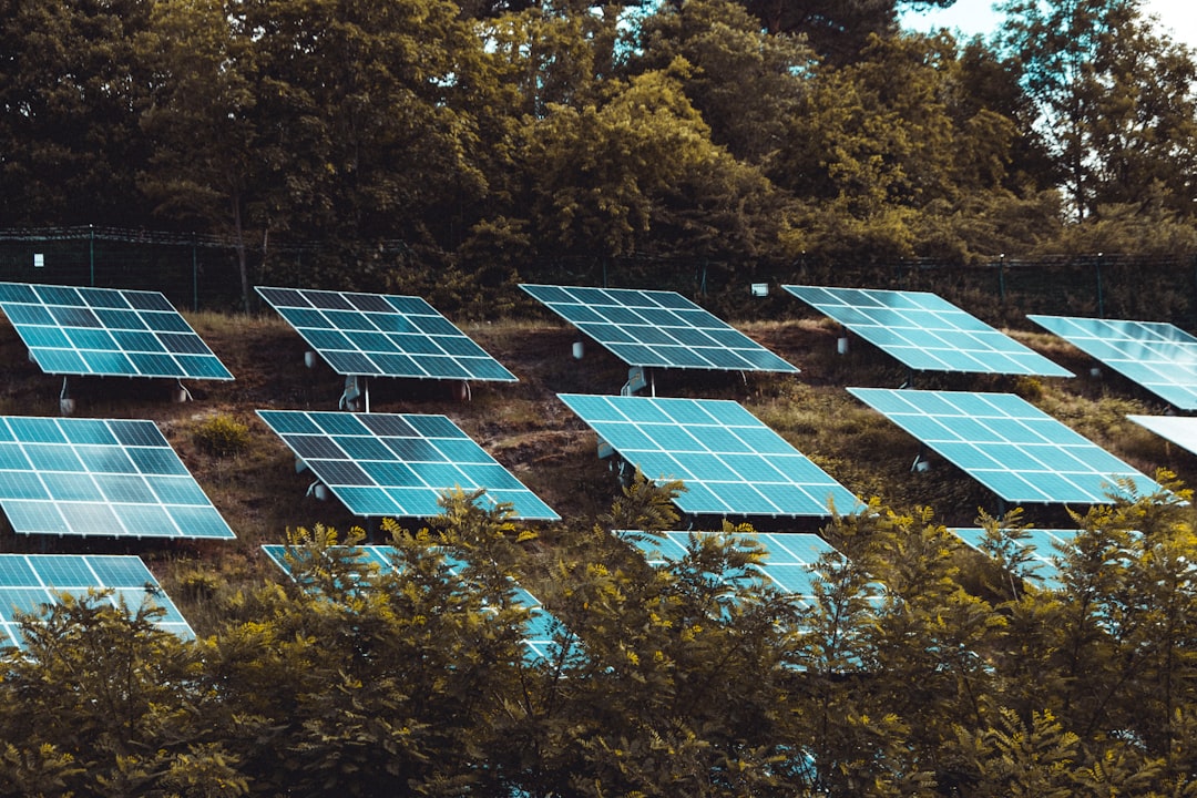 entdecken sie hochwertige photovoltaikmodule für effiziente und nachhaltige solarenergie. ideal für private und gewerbliche solaranlagen.
