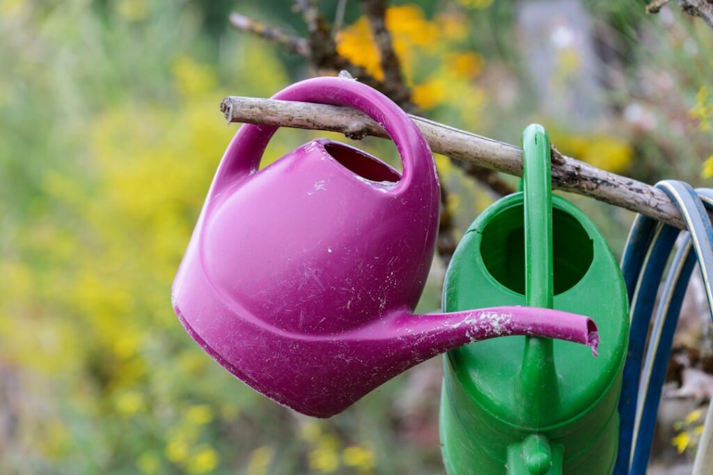 professionelle gartenpflege und tipps für die perfekte gartenpflege, damit ihr garten das ganze jahr über gesund und schön bleibt.