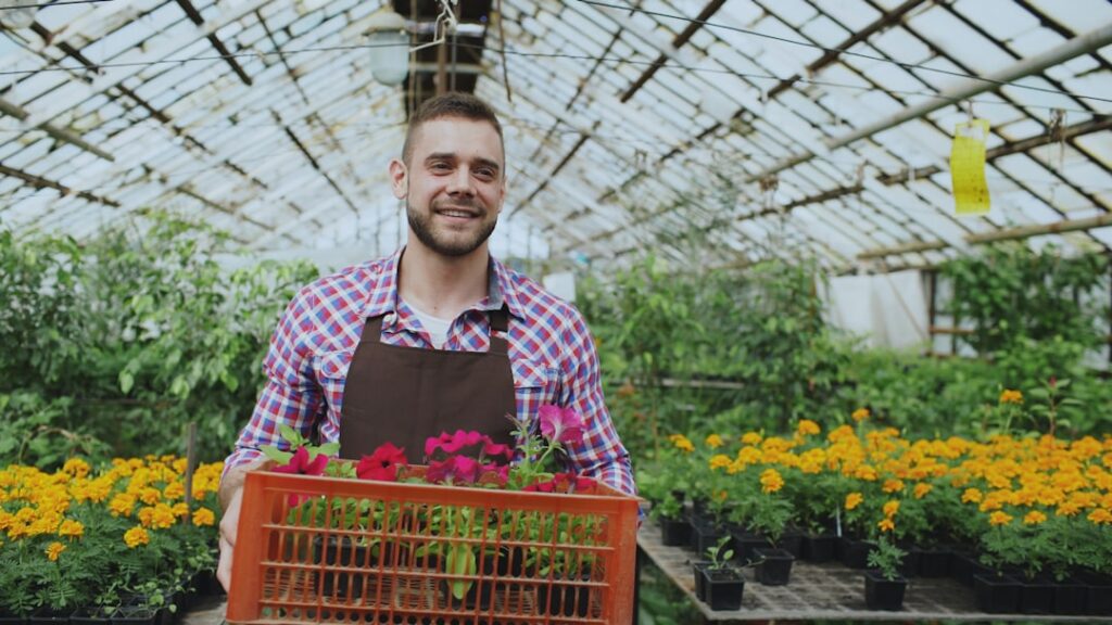 erfahren sie, wie sie ihre petunien richtig pflegen, um üppiges wachstum und wunderschöne blüten den ganzen sommer über zu gewährleisten.