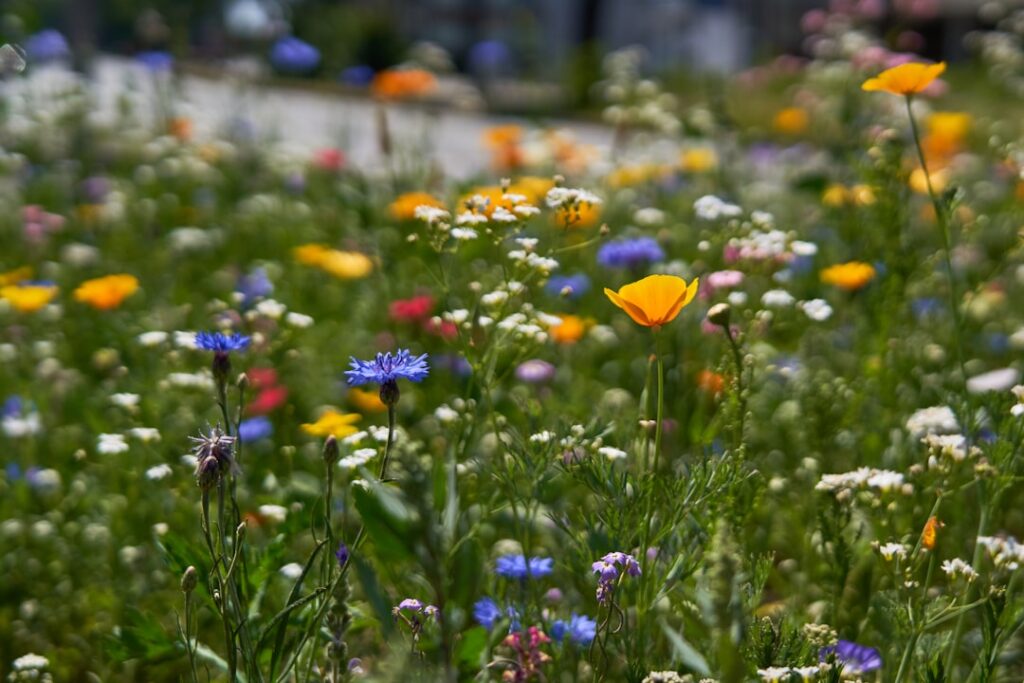 entdecken sie die schönheit der sommerblumen – farbenfrohe blüten, die ihren garten und balkon in der sonnigen jahreszeit zum strahlen bringen.