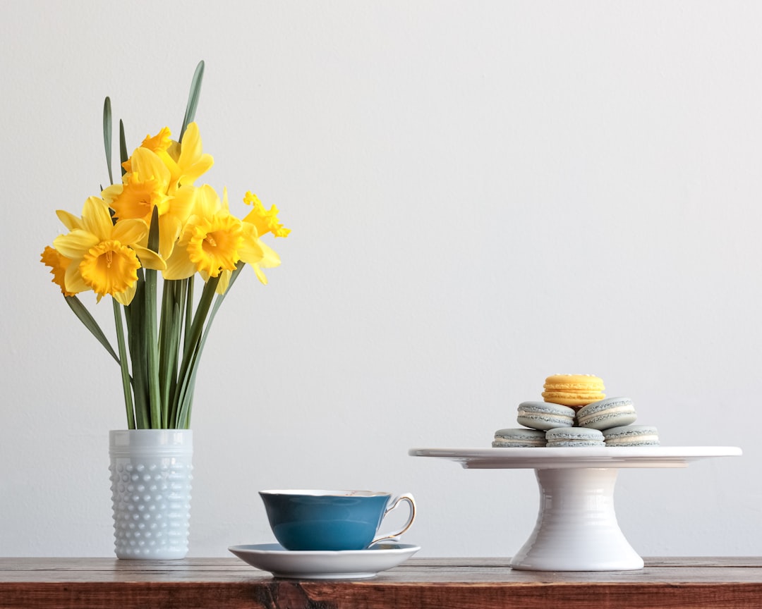 entdecken sie die schönheit der narzissen: leuchtende frühlingsblumen, die gärten und landschaften mit ihrem strahlenden gelb verschönern.