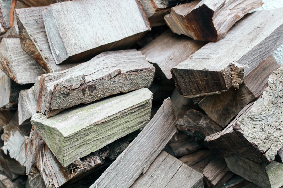 effiziente und umweltfreundliche holzschnitzelheizung für nachhaltige wärmeversorgung in ihrem zuhause oder betrieb.